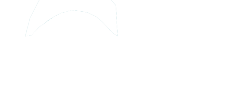 KFZ Werkstatt Petrol Turtles